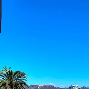 Meet your Posher, Pasha